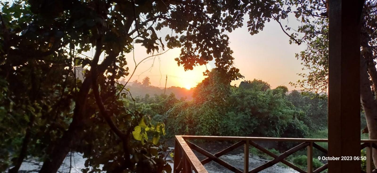 Asiatic Lion Lodge Sasan Gir Εξωτερικό φωτογραφία